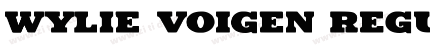 Wylie Voigen Regular字体转换
